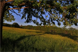 <p>Šluknovsko - Království</p>